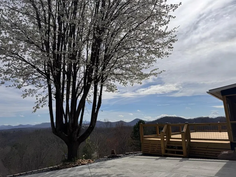 355 Up The Creek Trail Hayesville, NC 28904