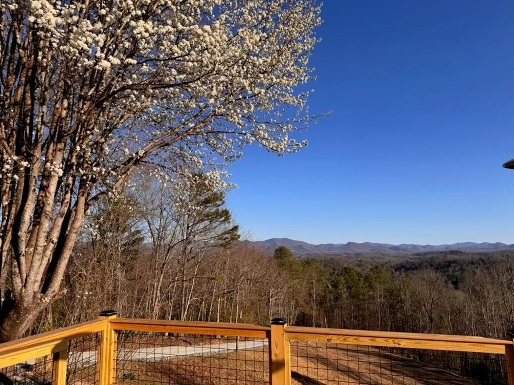 355 Up The Creek Trail Hayesville, NC 28904