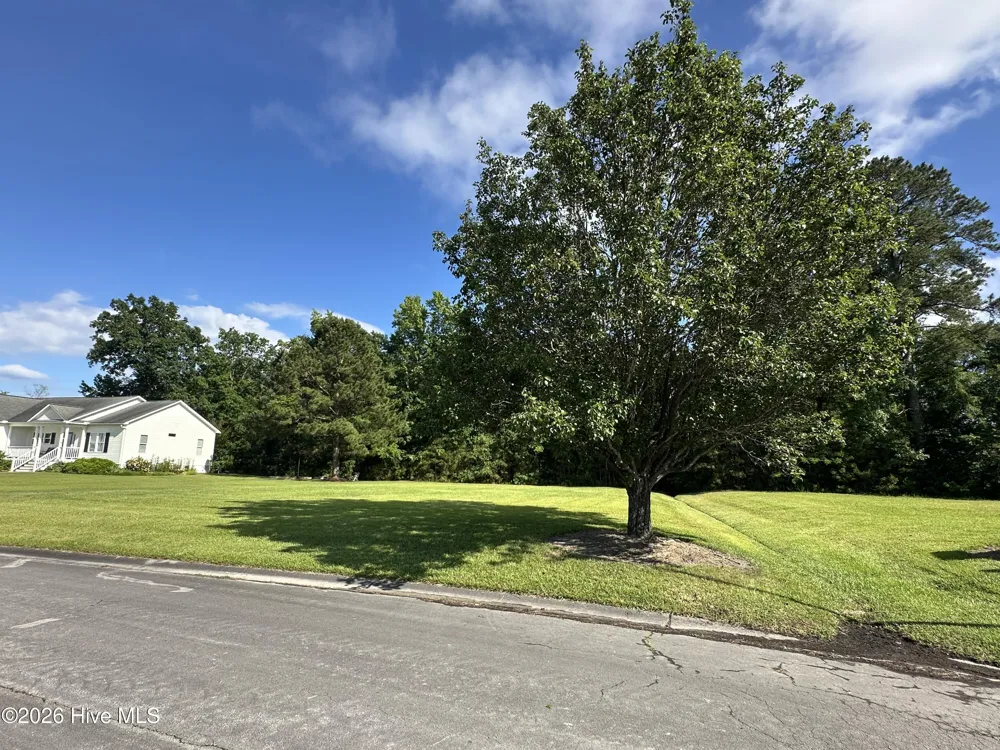 98 Carolina Way Arapahoe, NC 28510