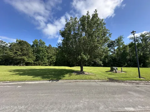 98 Carolina Way