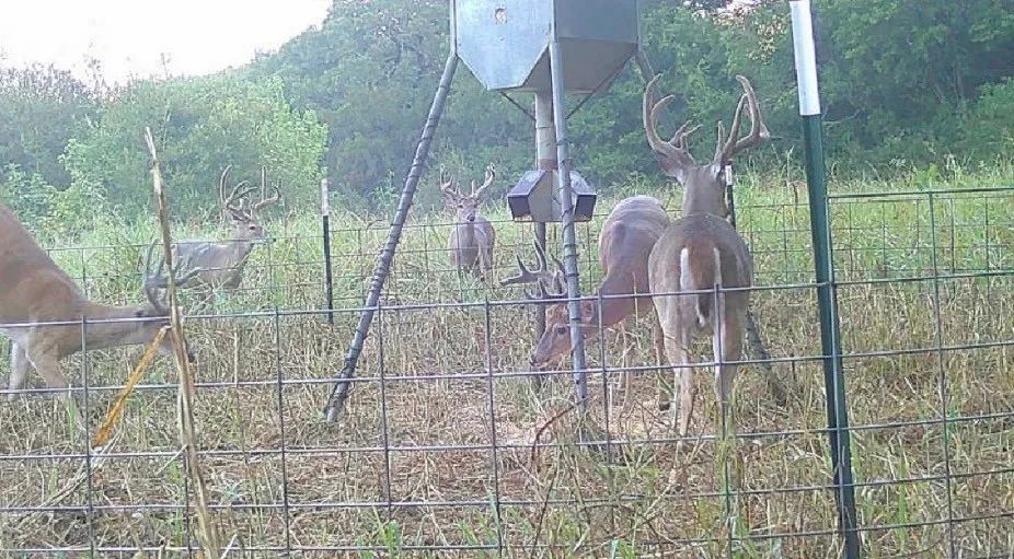 US Hwy 82 Sherman, TX 75092