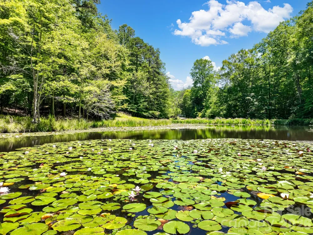 1090 Saunders Drive Catawba, NC 28609