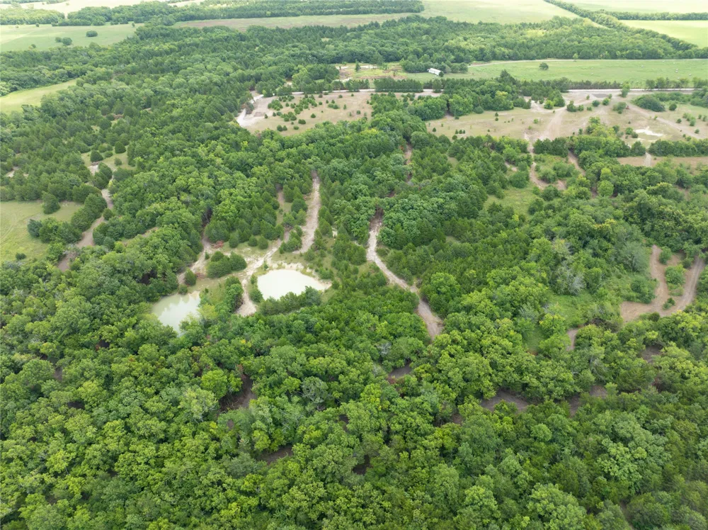 PR Guthrie Honey Grove, TX 75446