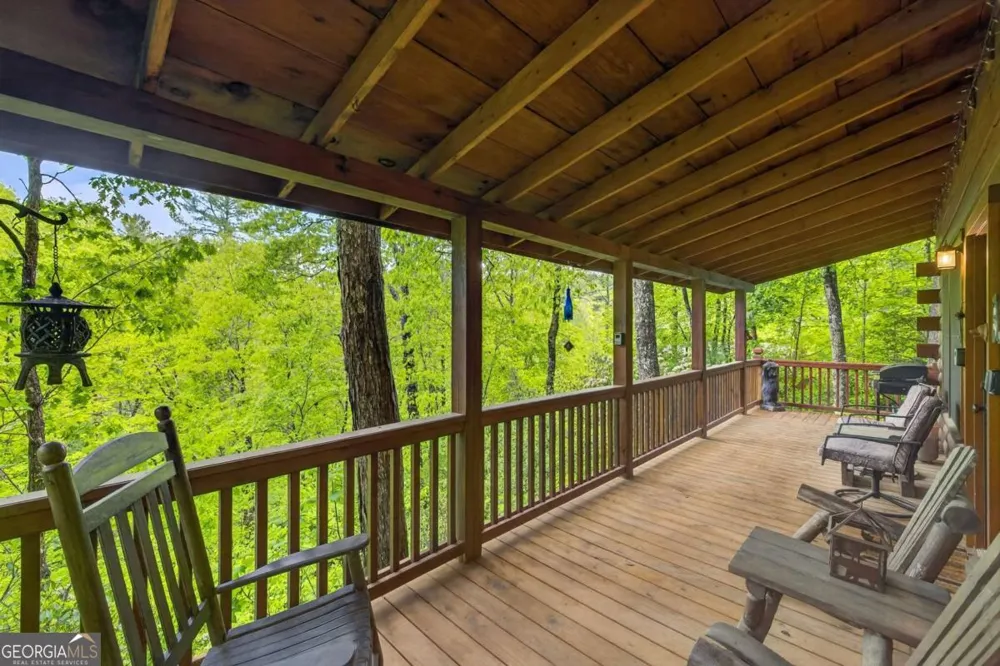 203 Mountain View DR Cherry Log, GA 30522