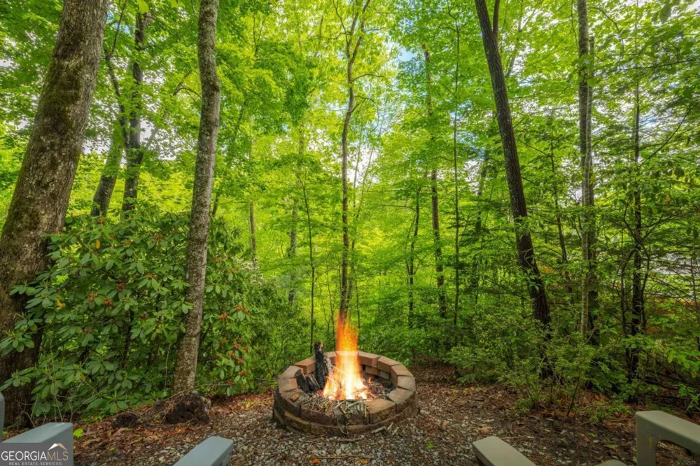 203 Mountain View DR Cherry Log, GA 30522