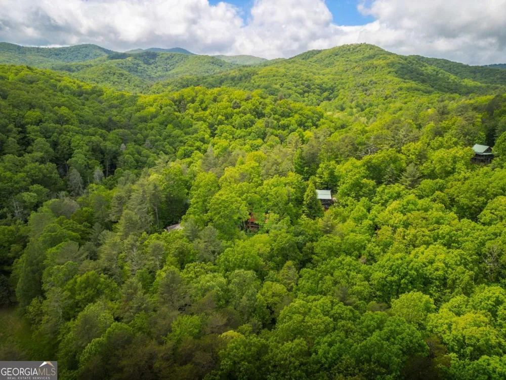 203 Mountain View DR Cherry Log, GA 30522