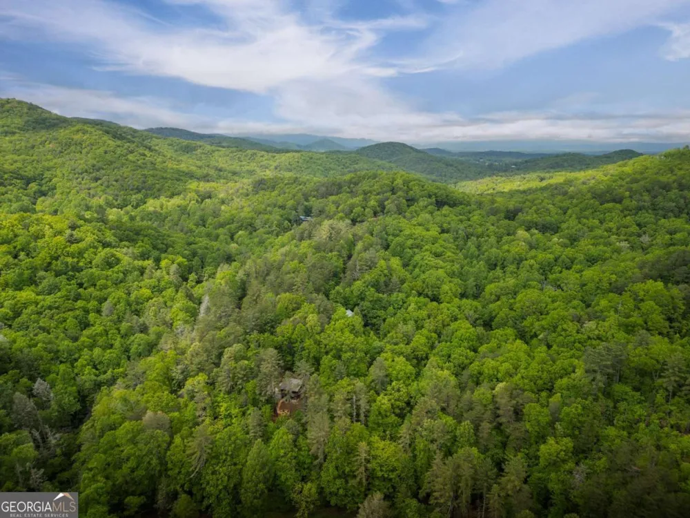 203 Mountain View DR Cherry Log, GA 30522
