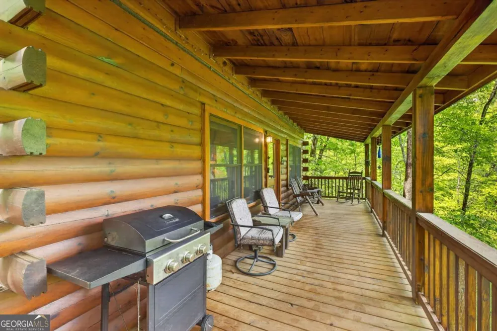 203 Mountain View DR Cherry Log, GA 30522