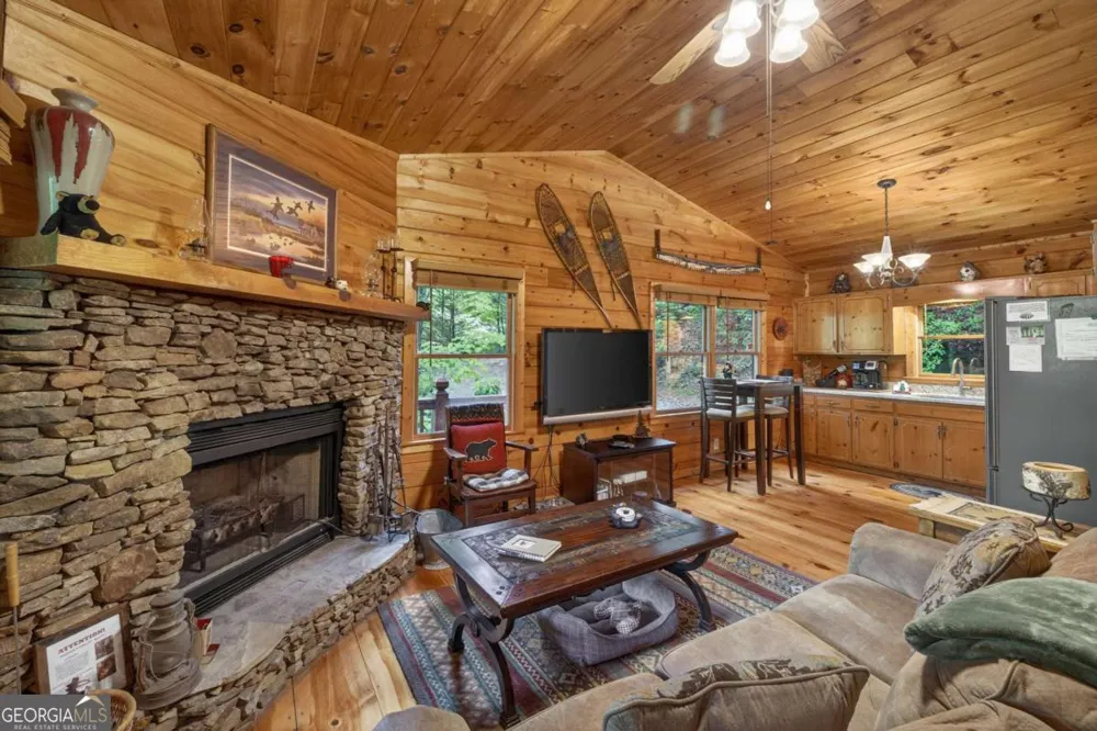 203 Mountain View DR Cherry Log, GA 30522