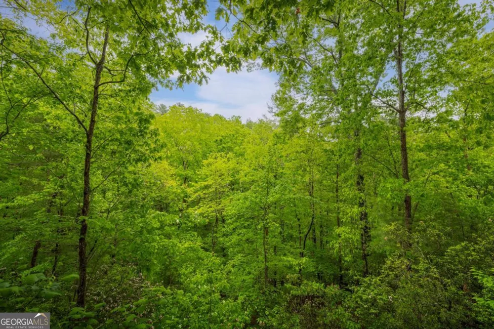 203 Mountain View DR Cherry Log, GA 30522