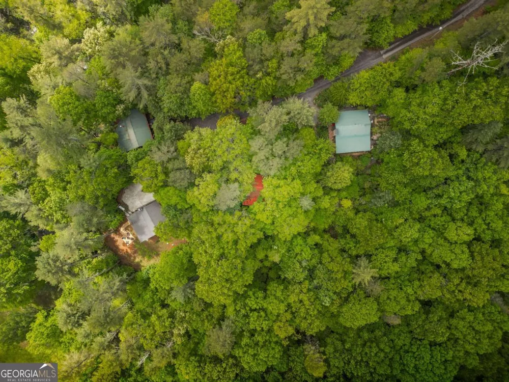 203 Mountain View DR Cherry Log, GA 30522