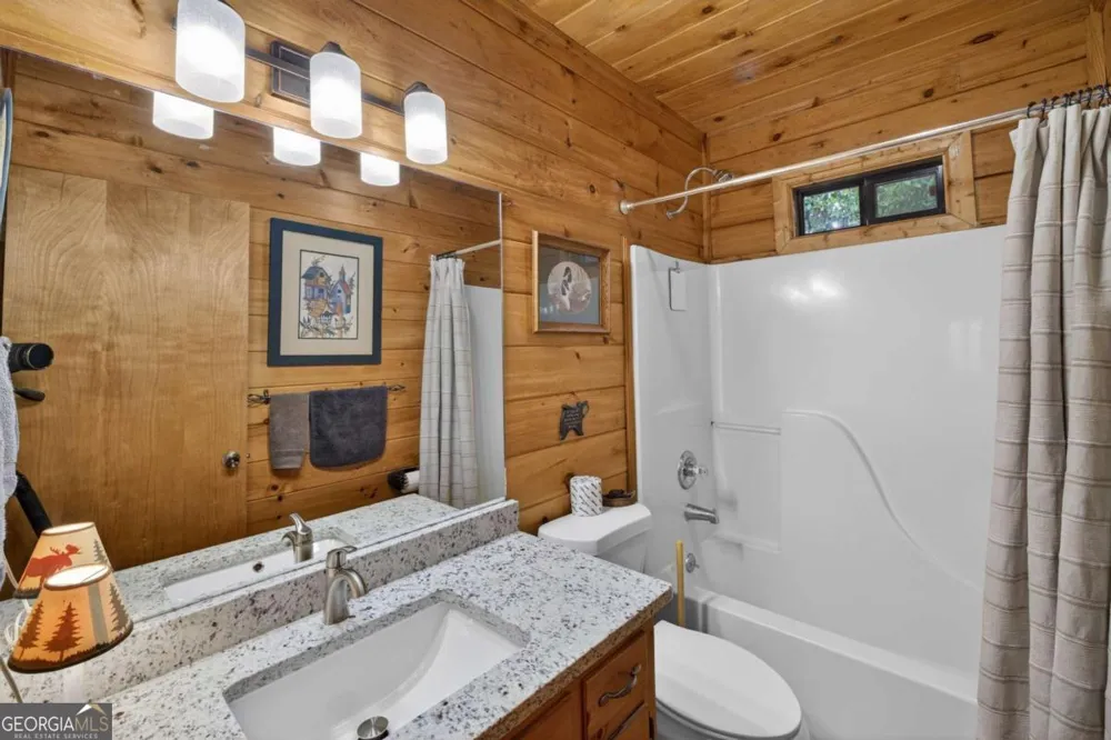 203 Mountain View DR Cherry Log, GA 30522