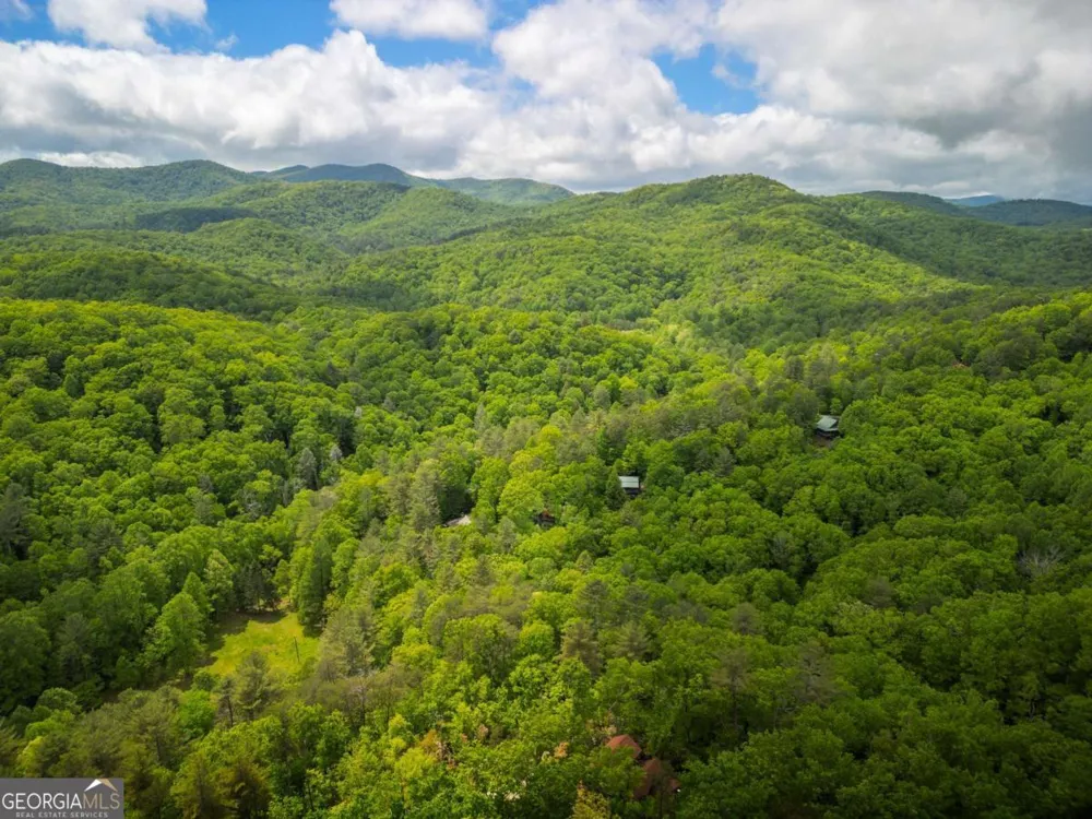 203 Mountain View DR Cherry Log, GA 30522