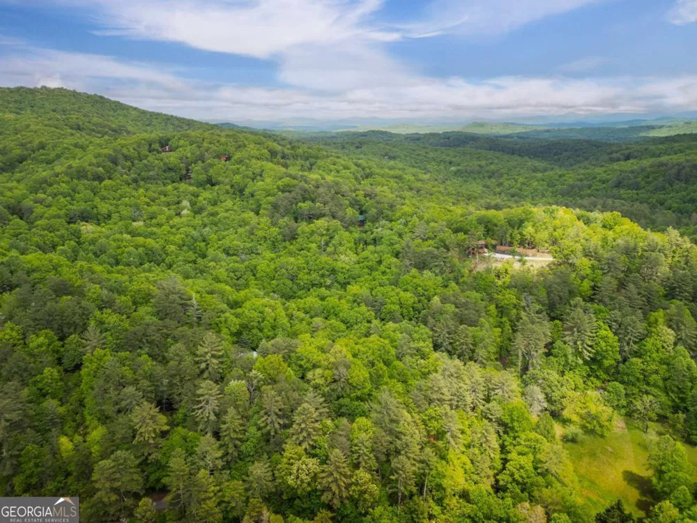 203 Mountain View DR Cherry Log, GA 30522