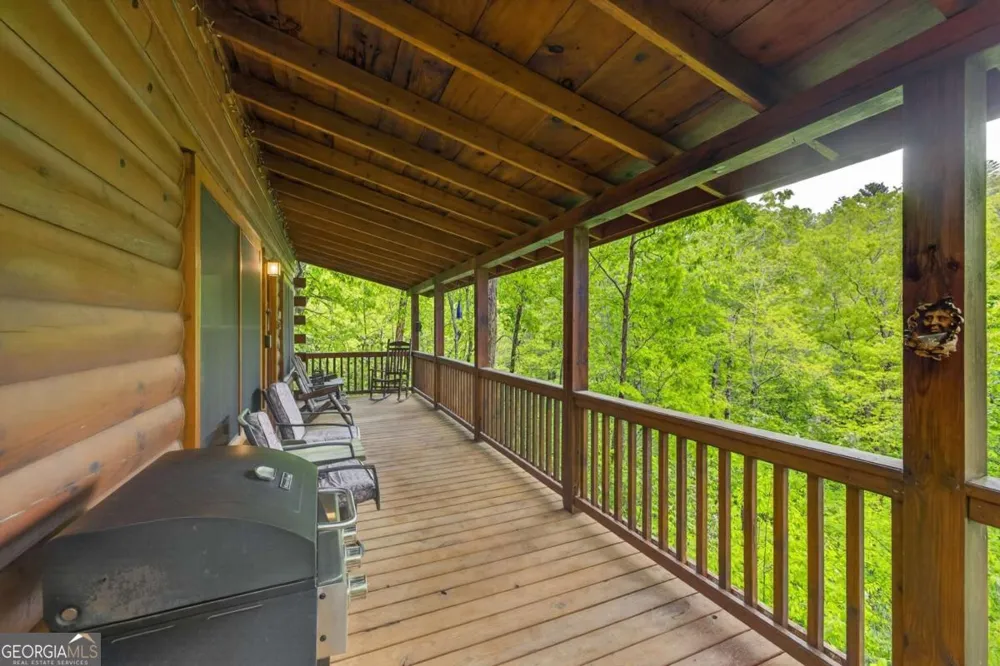 203 Mountain View DR Cherry Log, GA 30522