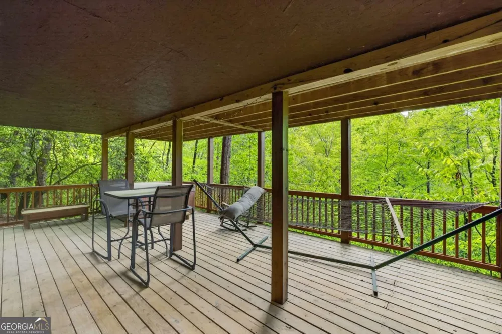203 Mountain View DR Cherry Log, GA 30522