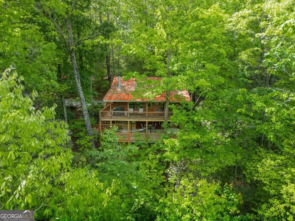 203 Mountain View DR Cherry Log, GA 30522