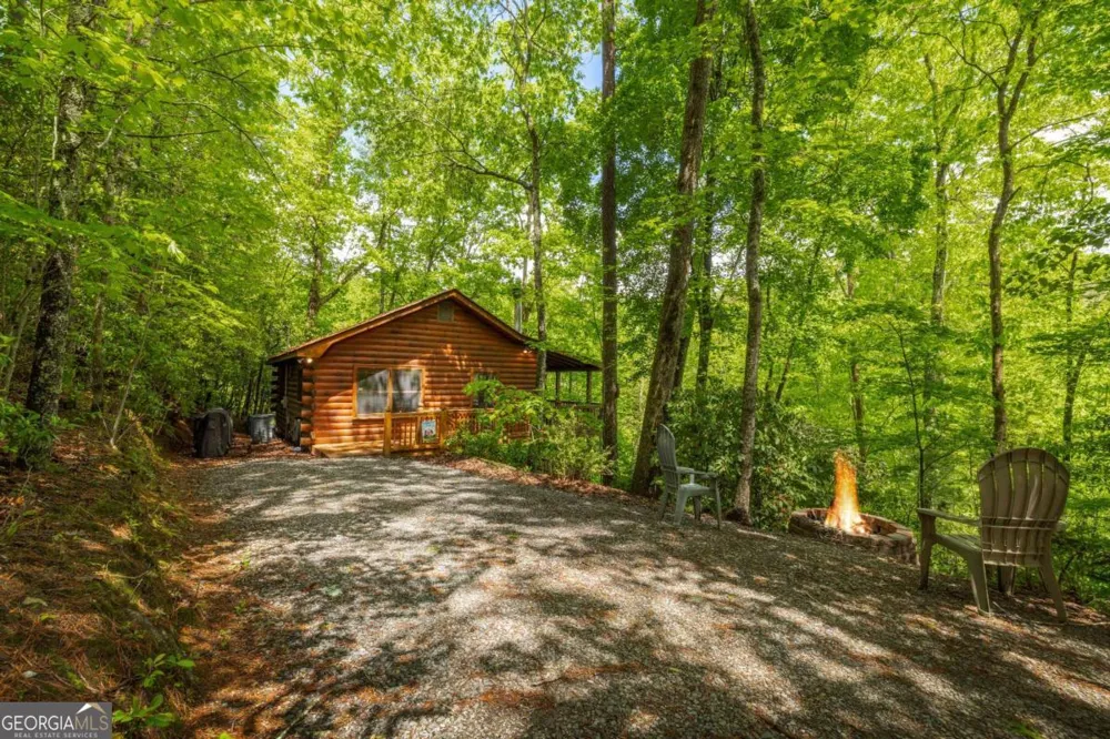203 Mountain View DR Cherry Log, GA 30522