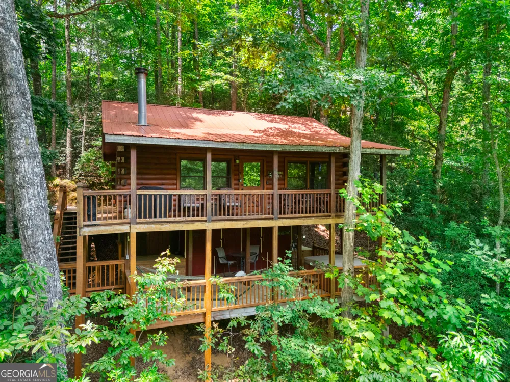 203 Mountain View DR Cherry Log, GA 30522