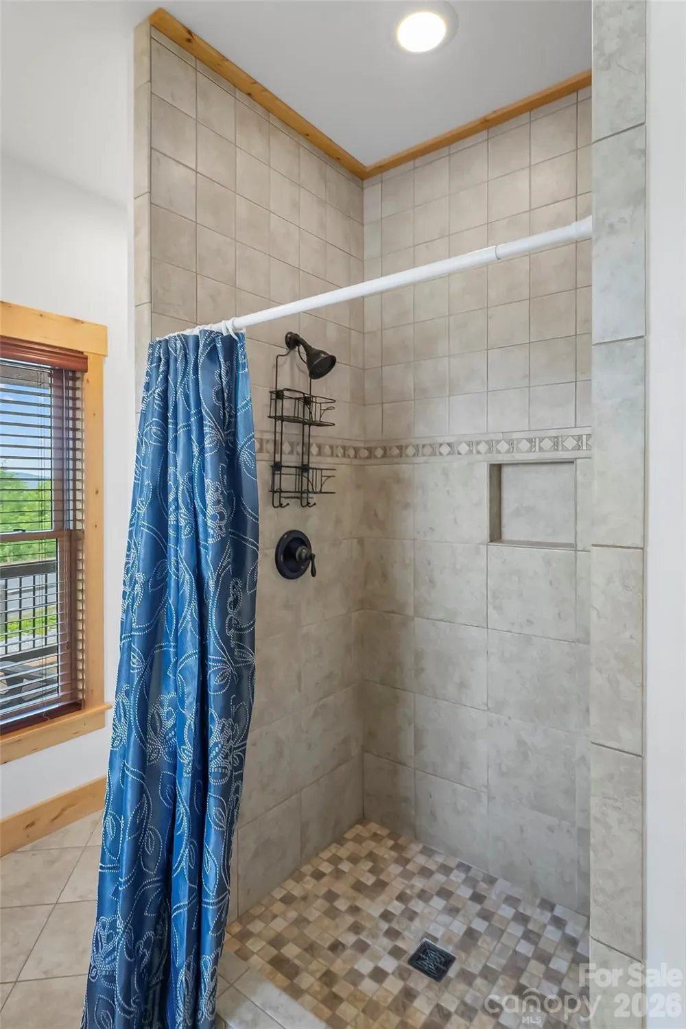 122 Azule Ridge Drive Bostic, NC 28018