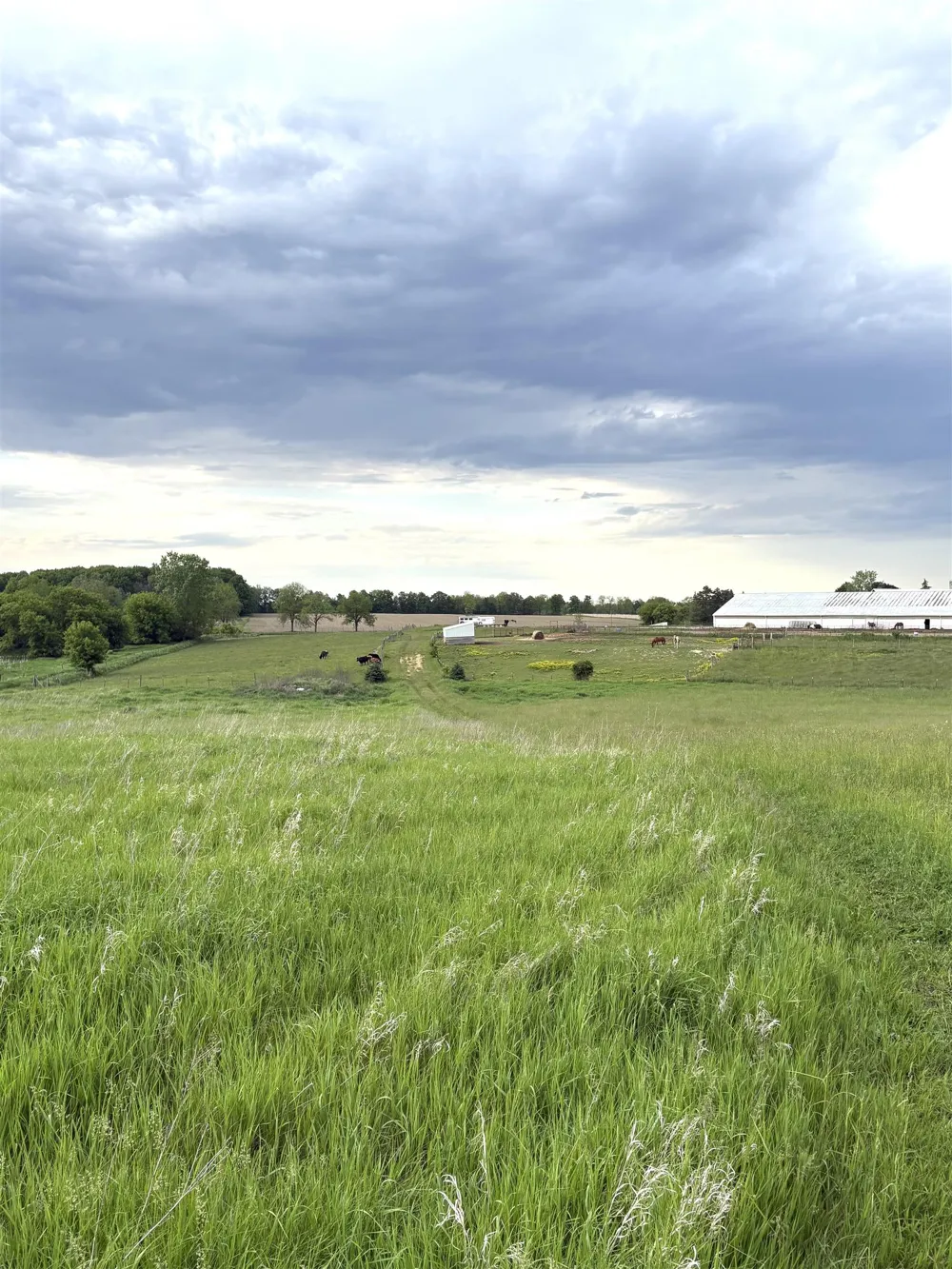 8680 Parks Road Ovid Township, MI 48866