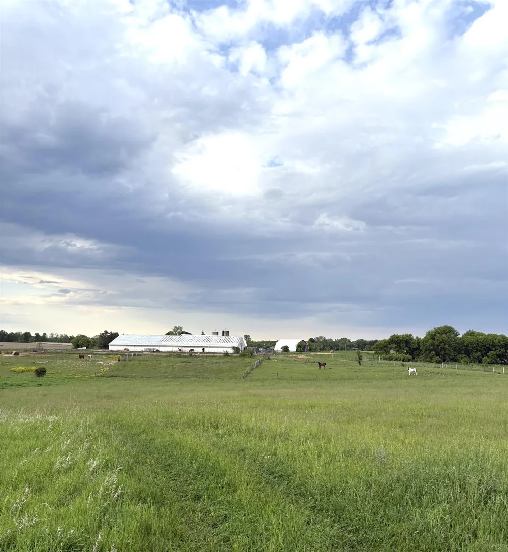 8680 Parks Road Ovid Township, MI 48866
