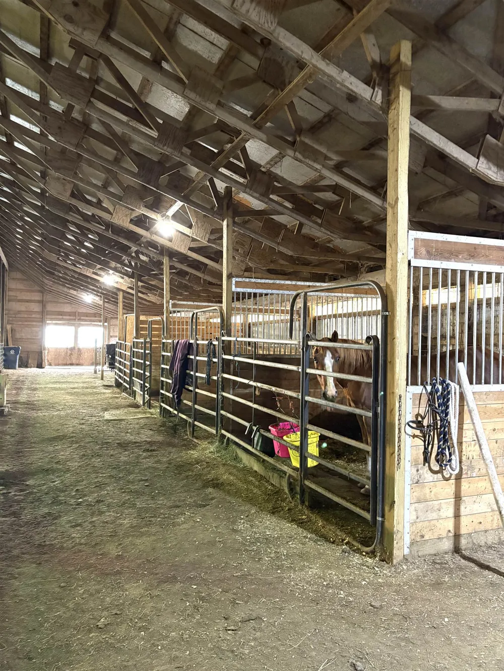 8680 Parks Road Ovid Township, MI 48866
