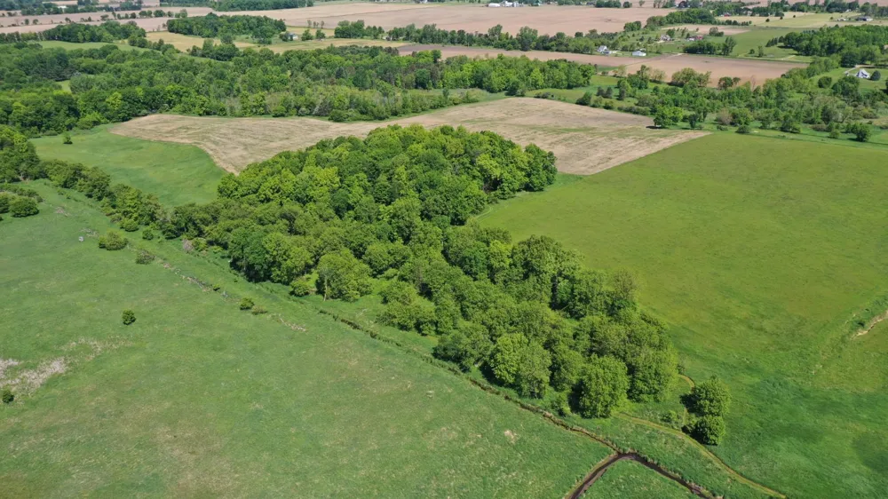 8680 Parks Road Ovid Township, MI 48866