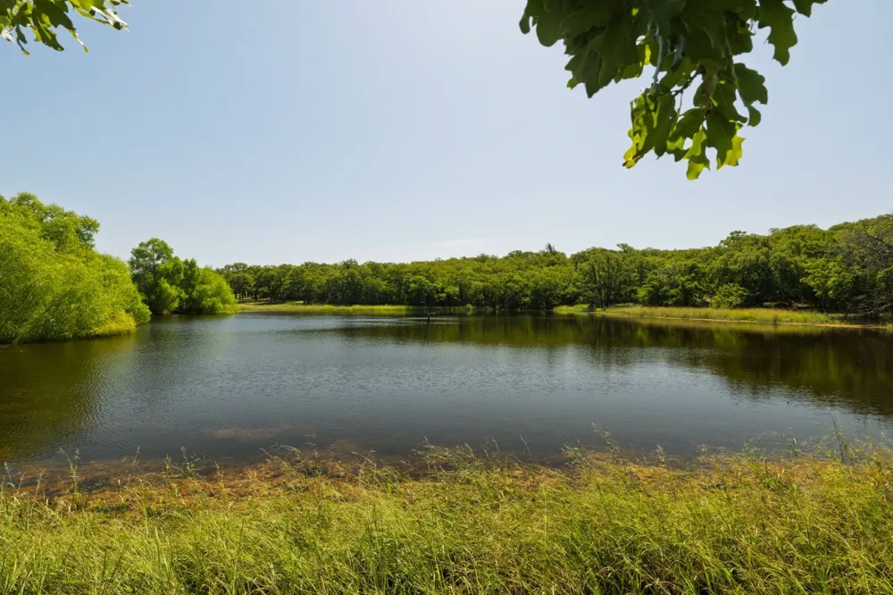 10628 FM 1125 Highway Bowie, TX 76230