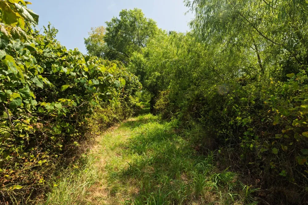 10628 FM 1125 Highway Bowie, TX 76230