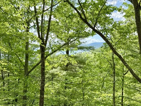 HAWKS RIDGE ROAD