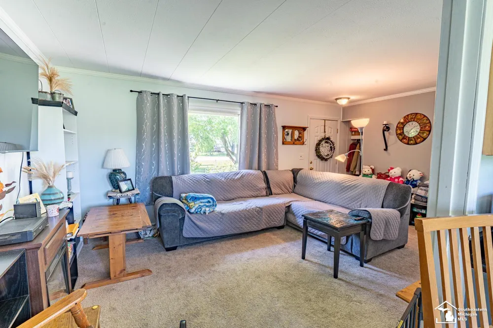 16788 Ida West Road Summerfield Township, MI 49270