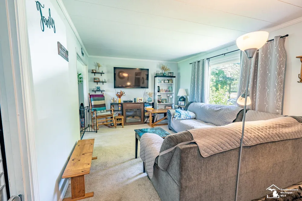 16788 Ida West Road Summerfield Township, MI 49270
