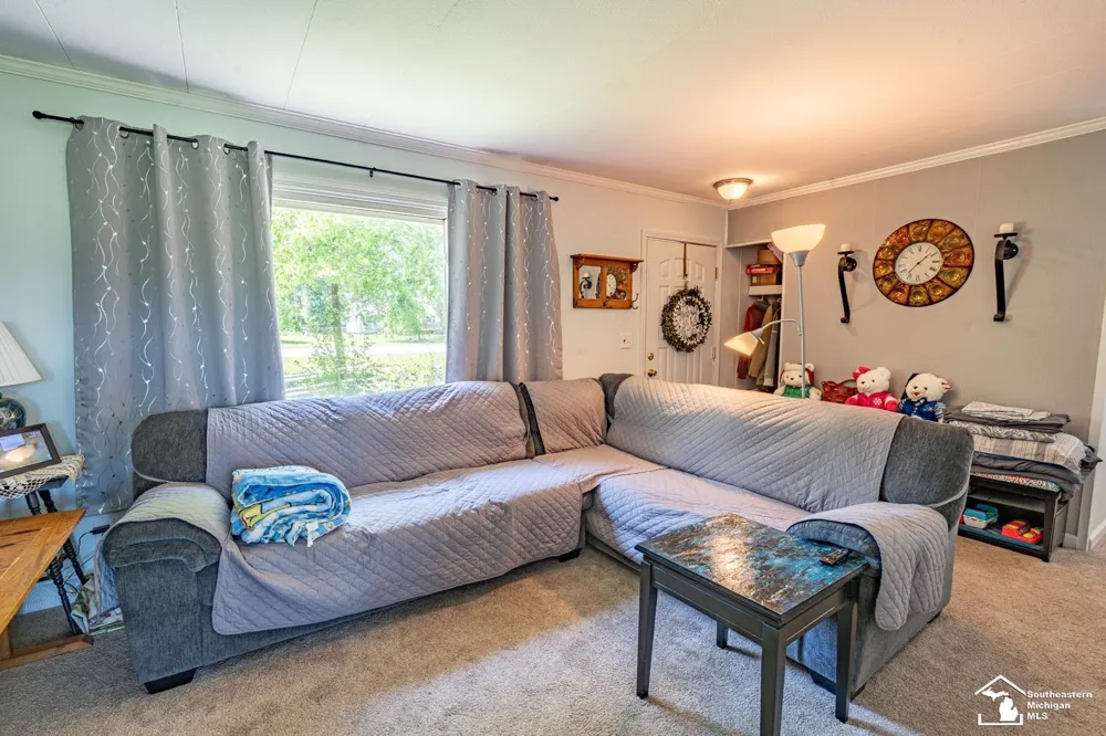 16788 Ida West Road Summerfield Township, MI 49270