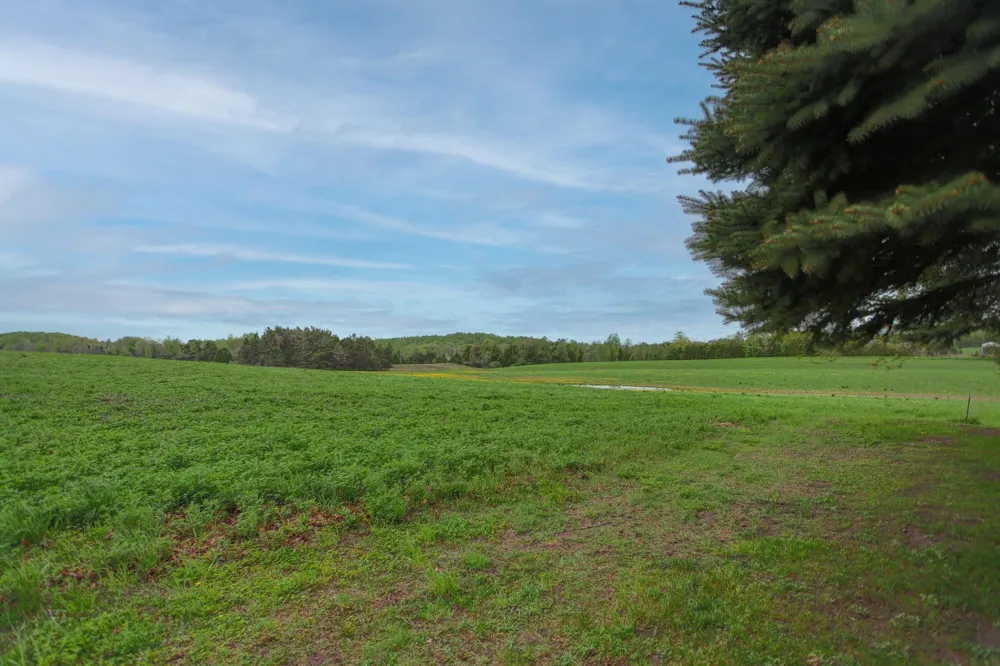 8201 Essex Road Banks Township, MI 49729