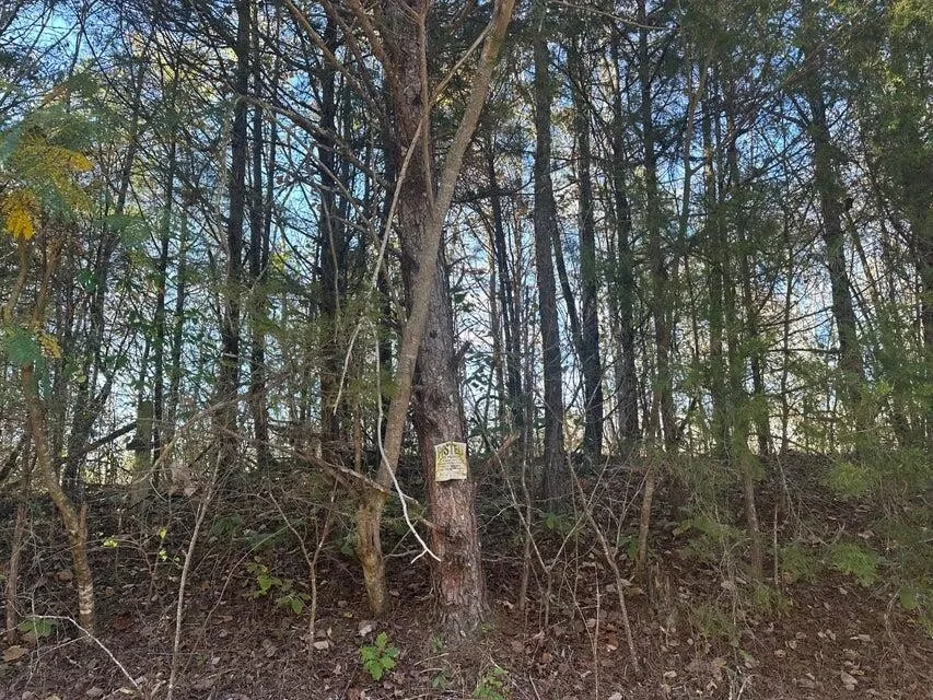 0 Mt Carmel Road Decatur, TN 37322