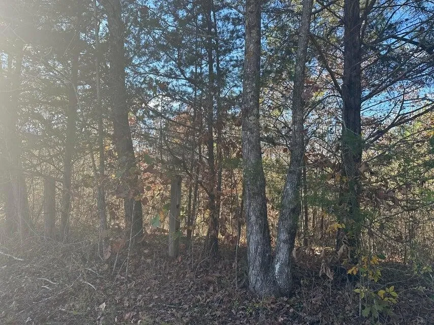 0 Mt Carmel Road Decatur, TN 37322