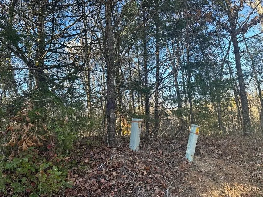 0 Mt Carmel Road Decatur, TN 37322