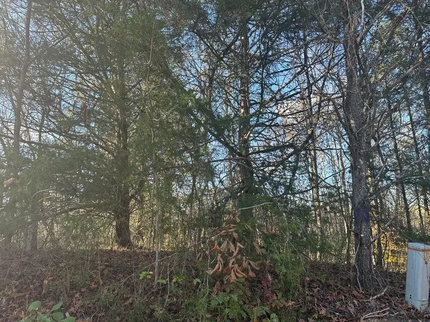 0 Mt Carmel Road Decatur, TN 37322