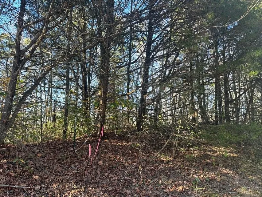 0 Mt Carmel Road Decatur, TN 37322