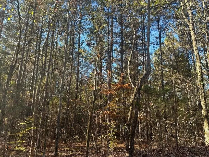 0 Mt Carmel Road Decatur, TN 37322