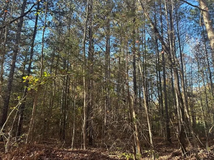 0 Mt Carmel Road Decatur, TN 37322