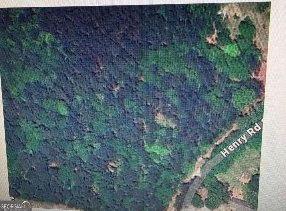4171 Henry RD SW Snellville, GA 30039