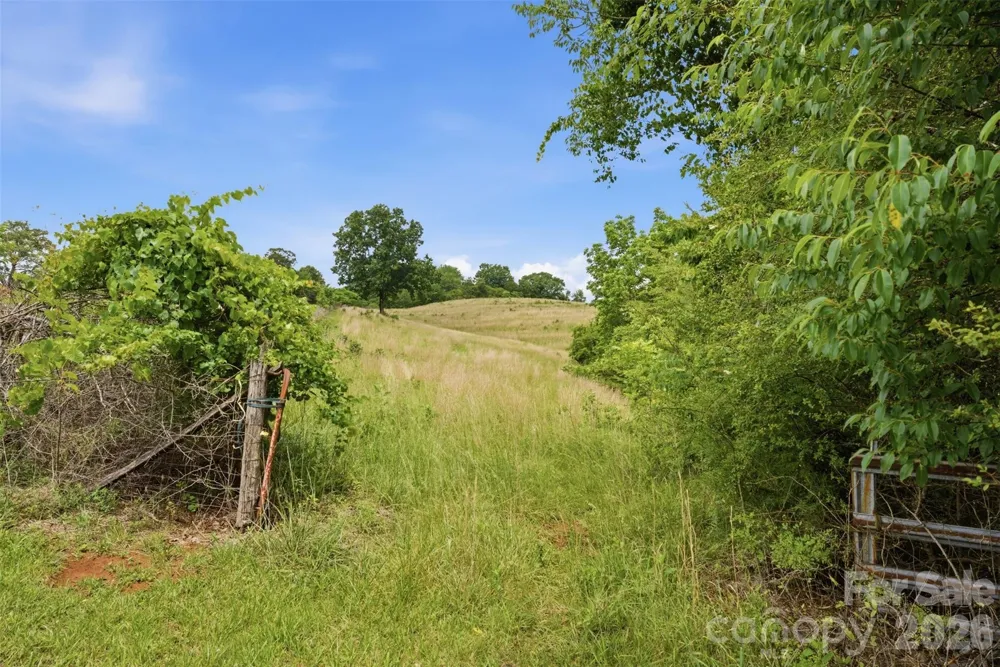 536 Pea Ridge Road Mill Spring, NC 28756