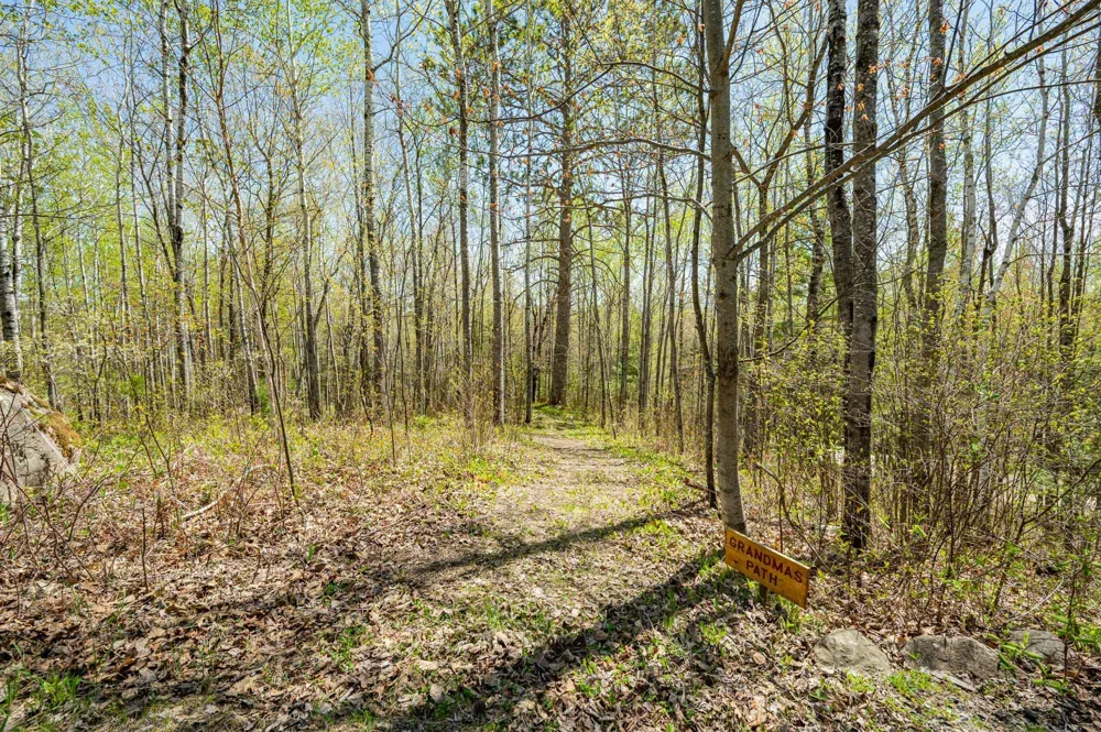 46890 Smith Lake Road Marcell, MN 56657