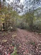 7810 N Lee Highway Cleveland, TN 37312