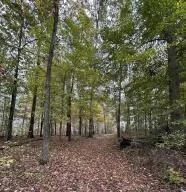 7810 N Lee Highway Cleveland, TN 37312