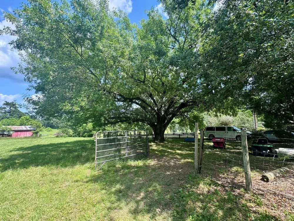 969 County Road 1050 Woodville, TX 75979