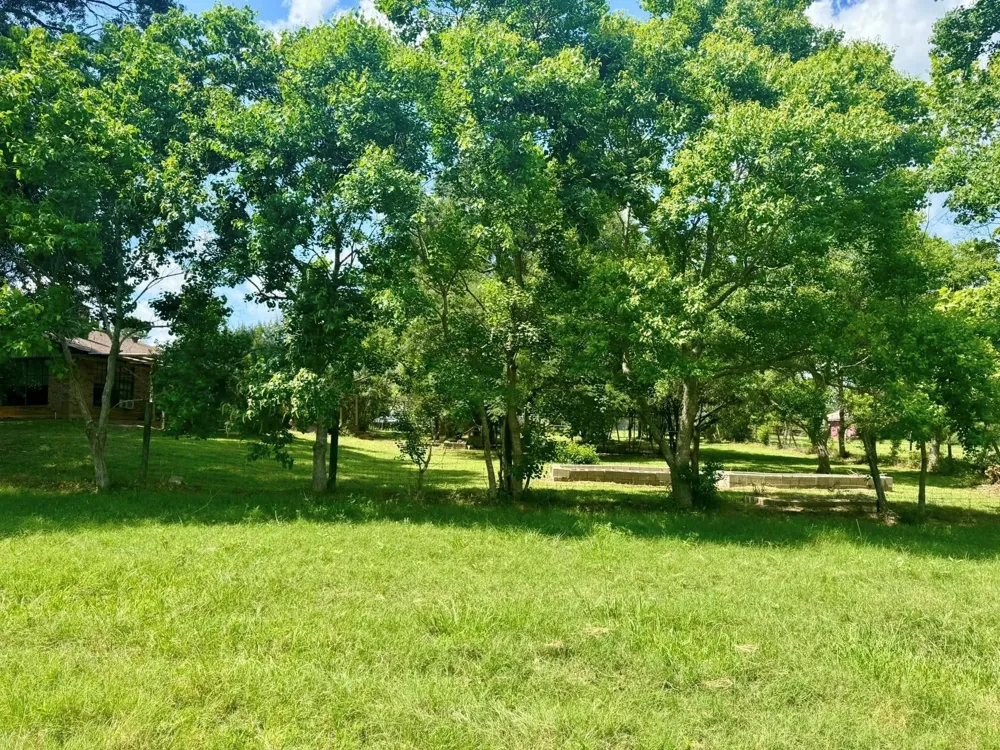 969 County Road 1050 Woodville, TX 75979