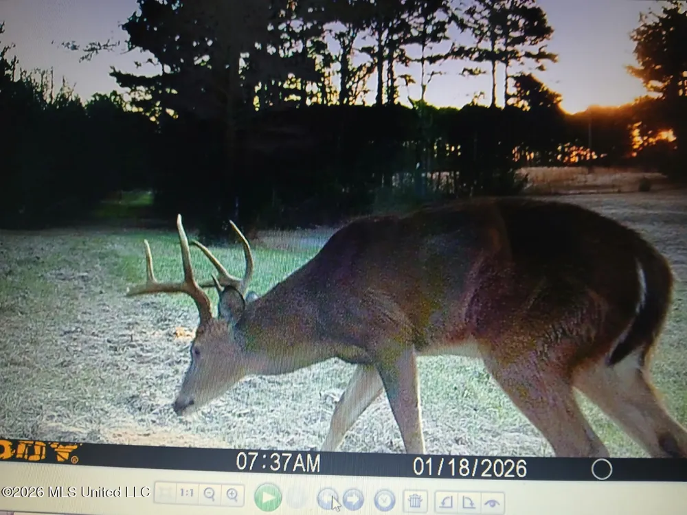 4655 Hwy 43 Camden, MS 39045